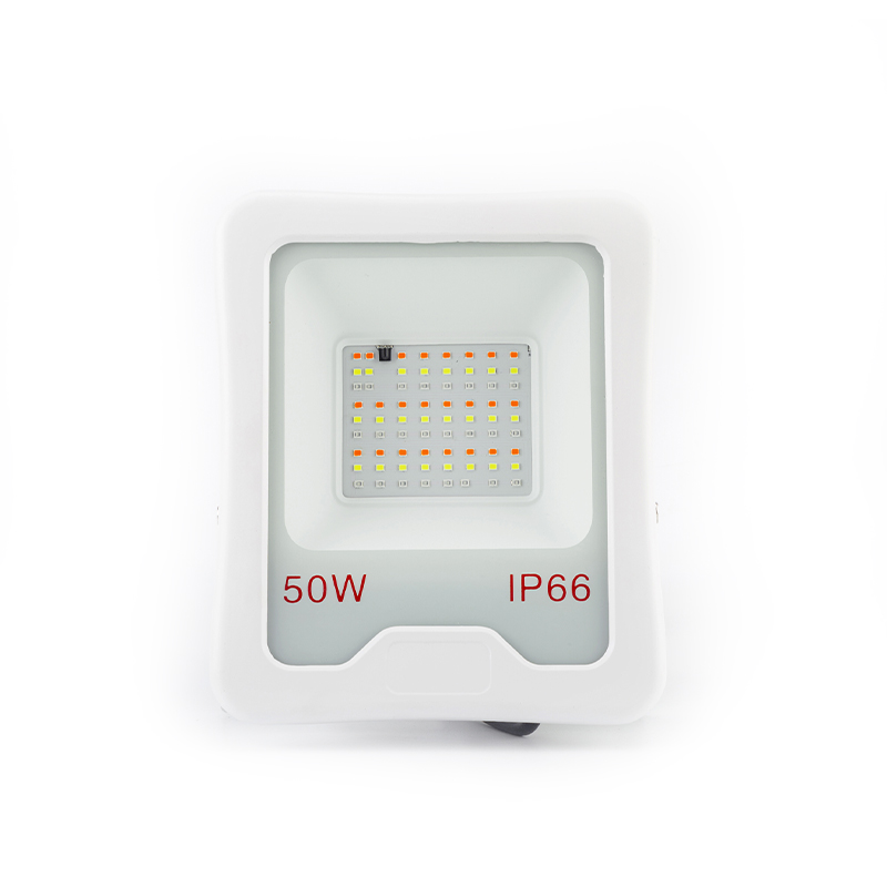 50w led floodlight 240v