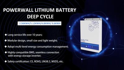 Ciclo profundo da bateria de lítio Powerwall